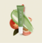 Zoes | Lip Butter Peach 15ml | PH color Changing 
