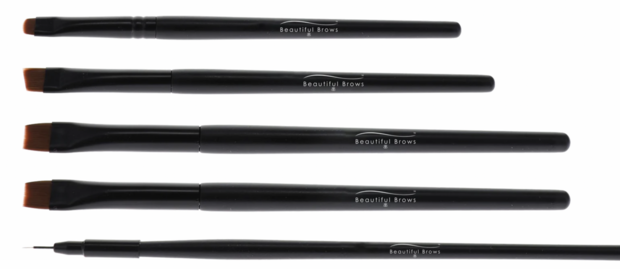 BB - Precision Artistry Brushes 5st