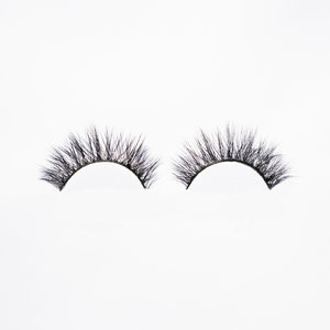 lastfunk! FALSIES NIGHTLIFE
